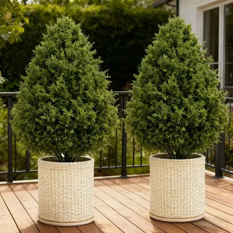 Cedar Topiary Trees-2 Pack - Image 1