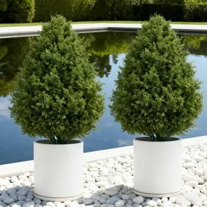 Cedar Topiary Trees-2 Pack - Thumbnail Image 3