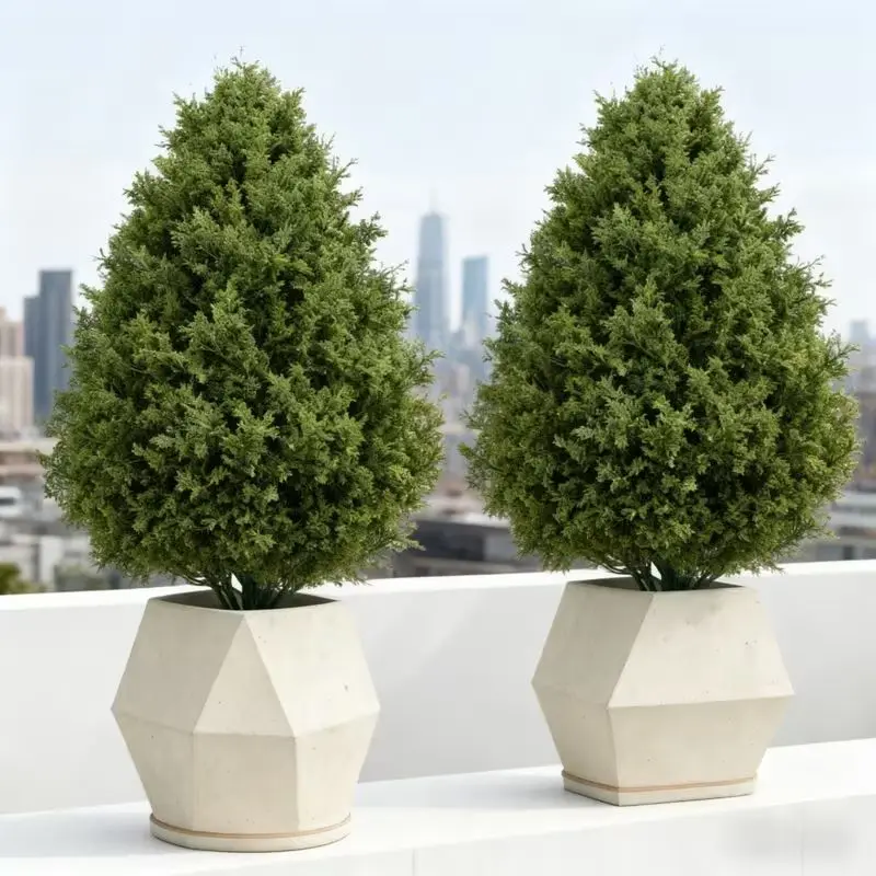 Cedar Topiary Trees-2 Pack - Image 2