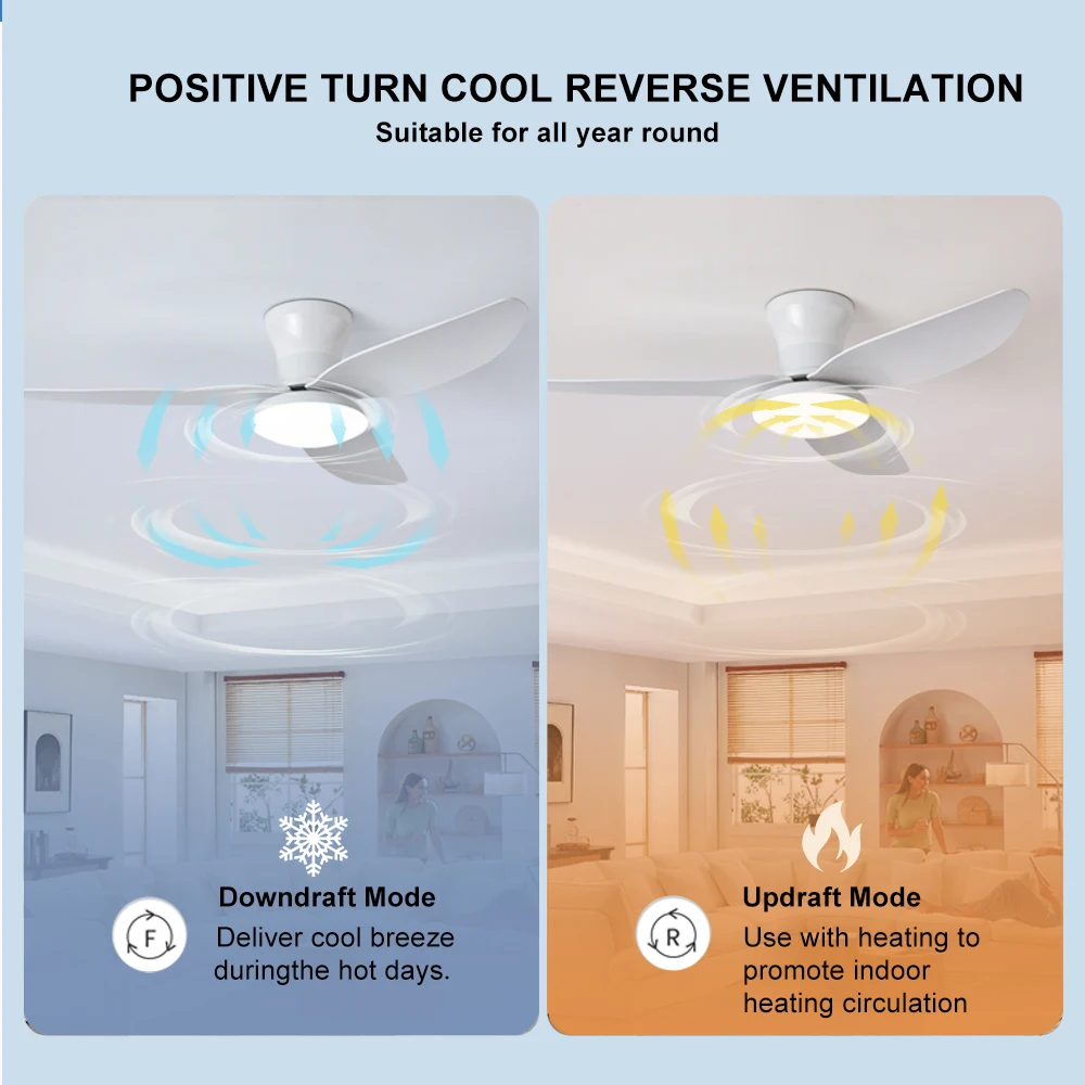 Ceiling fan w/light - High wind - Image 2