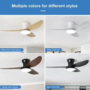 Ceiling fan w/light - High wind